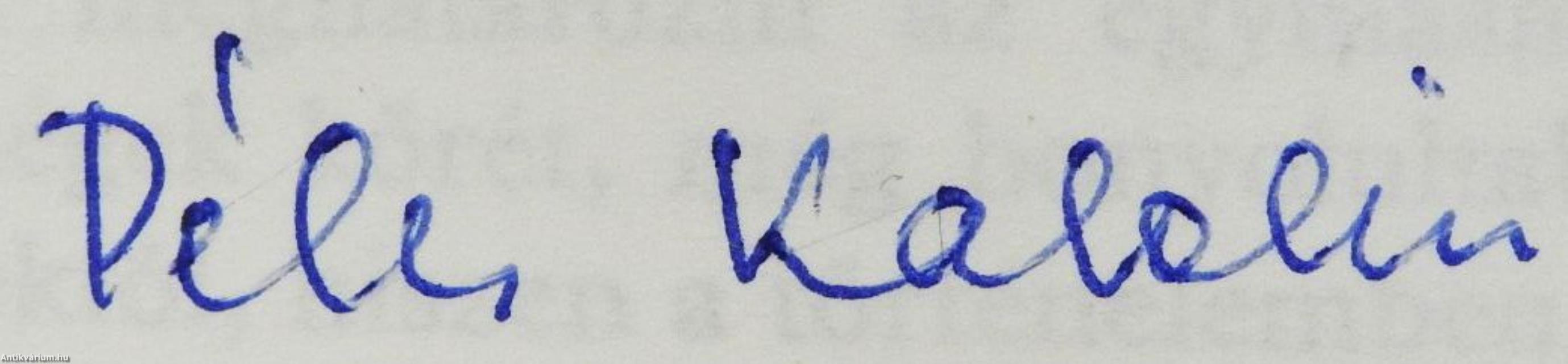 A magyar romlásnak századában (dedikált példány)