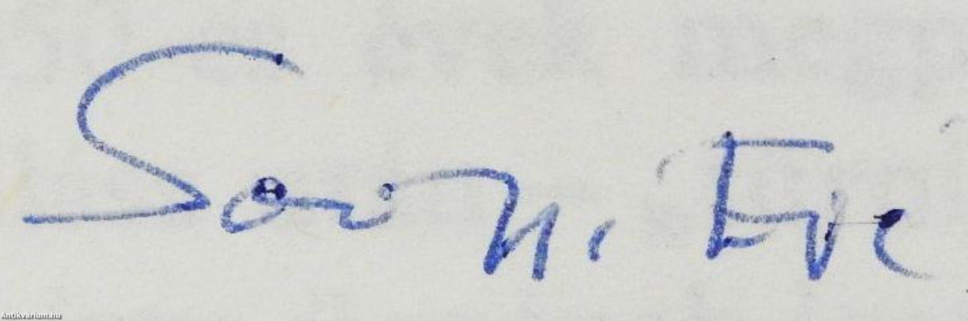 Abszolutizmus és kiegyezés (dedikált példány)