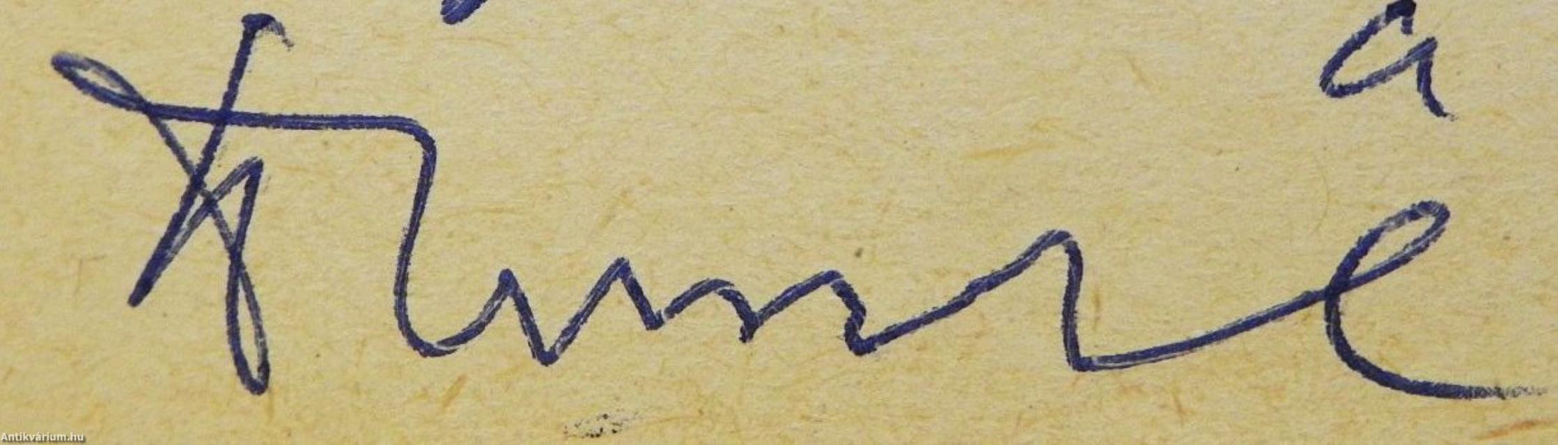 Fu-jen - Szeretetben szolgálni (dedikált példány)