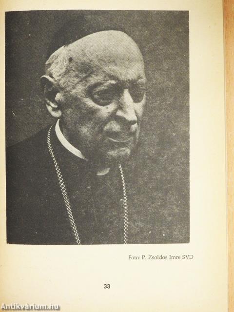 Fu-jen - Szeretetben szolgálni (dedikált példány)