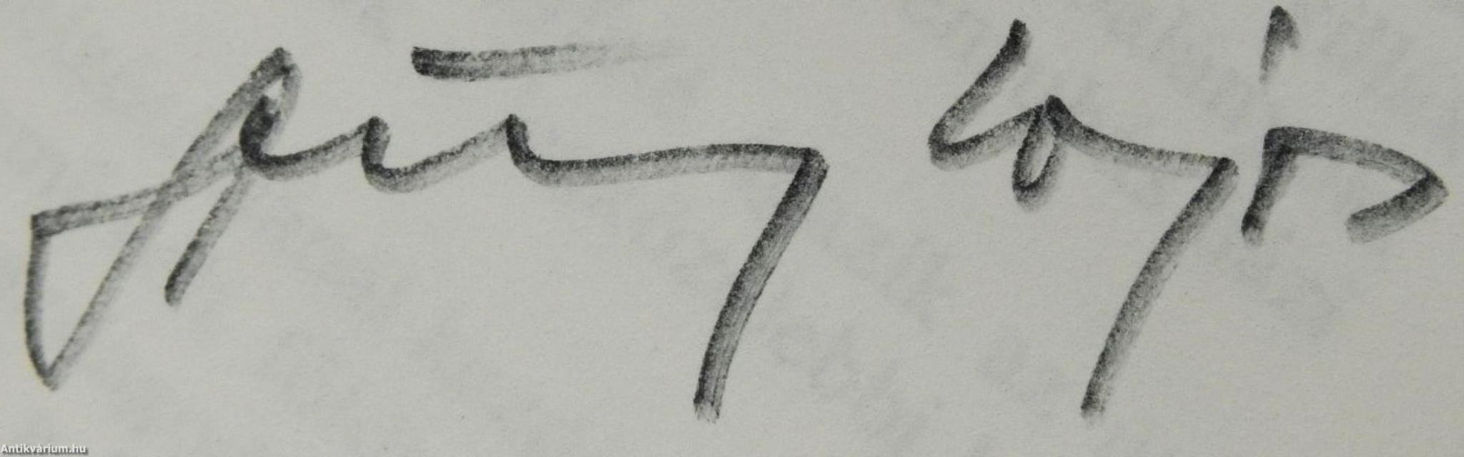 Eső a Mato Grosson (dedikált példány)