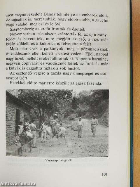 Eső a Mato Grosson (dedikált példány)