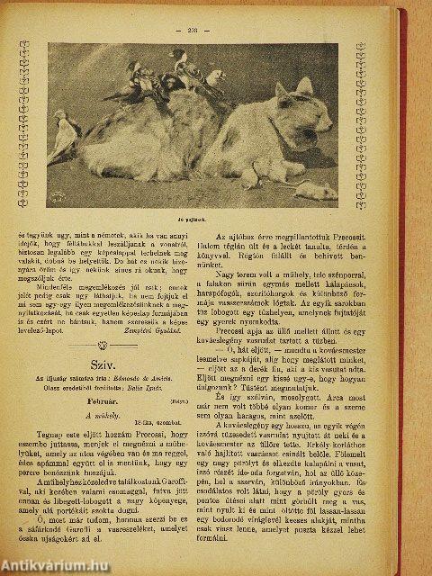 Magyar Lányok 1913. (nem teljes évfolyam)