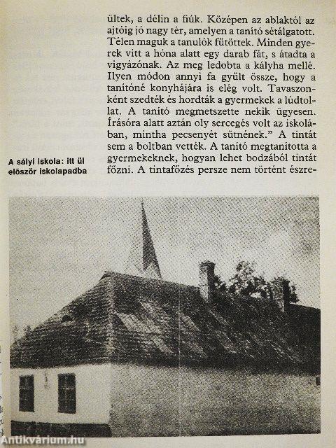 Így élt Gárdonyi Géza