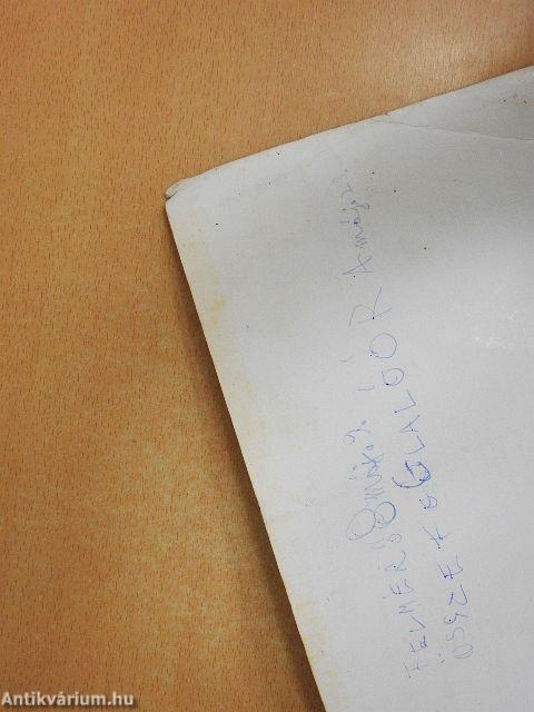 A hangok világa II.