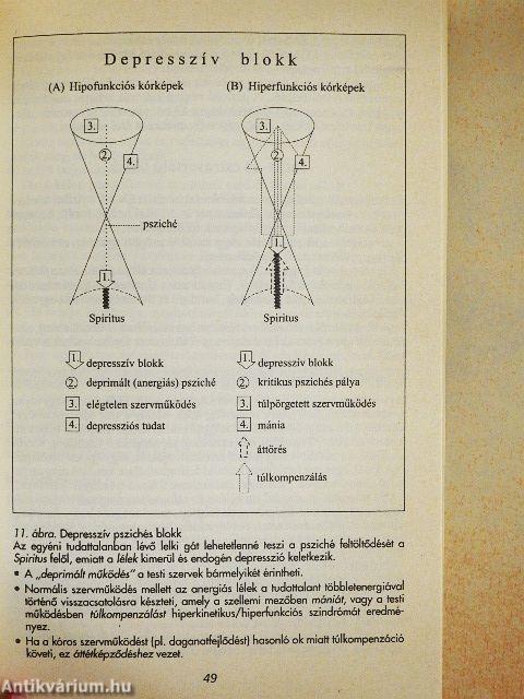 Holisztikus medicina