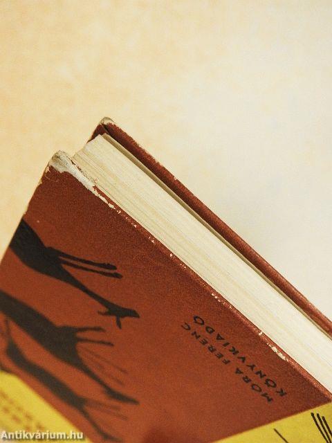 Ősemberek, ásatások