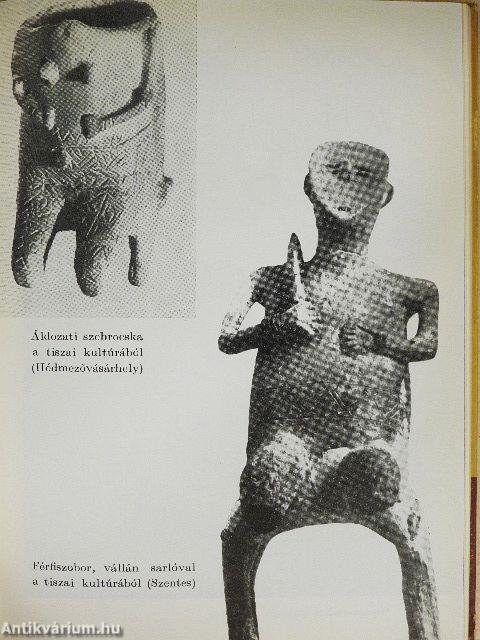 Ősemberek, ásatások