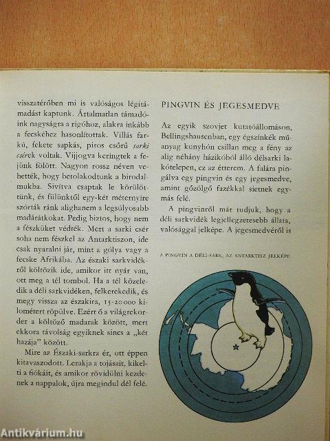 Amiről a jégvilág mesél