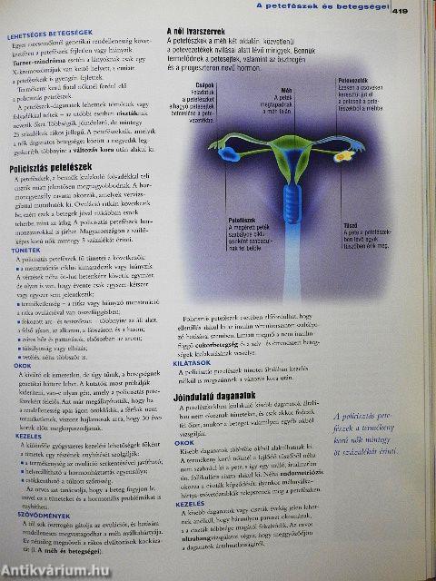 Családi orvosi kalauz