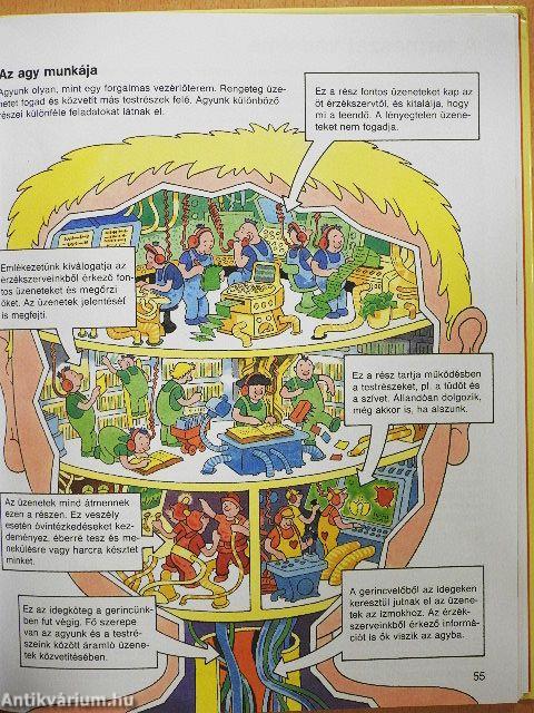 Enciklopédia gyermekeknek