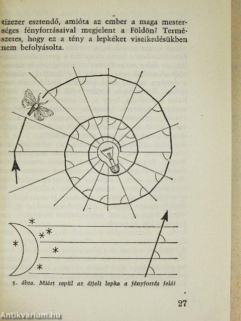 Gondolkodnak-e az állatok?