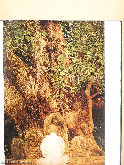 100 misztikus és szent hely