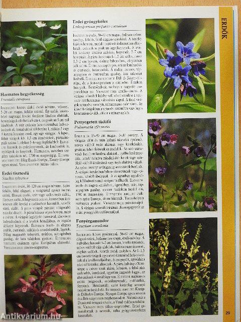 Nagy Európai természetkalauz