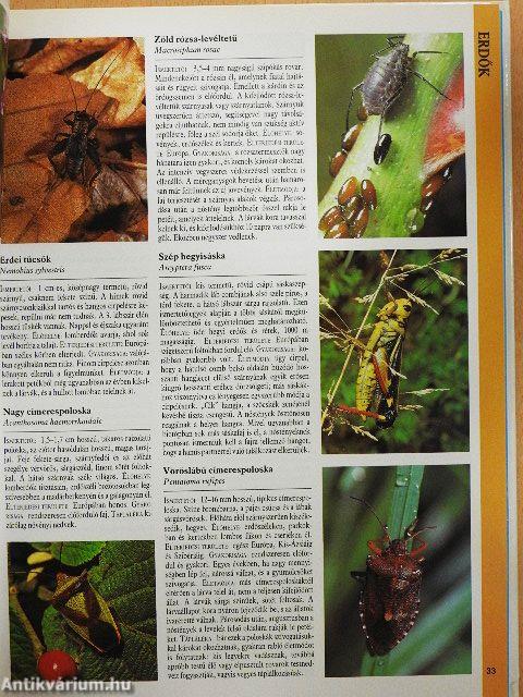 Nagy Európai természetkalauz