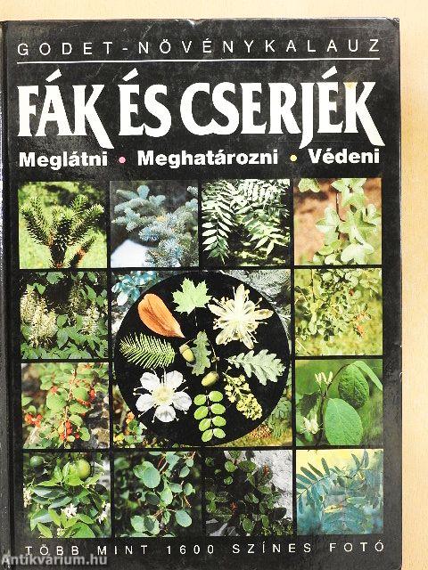 Fák és cserjék
