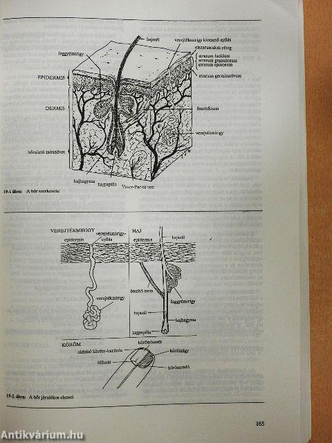 Mindennapos betegápolás 1-3.
