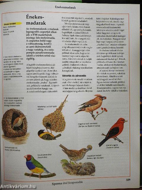 A természet csodálatos világa