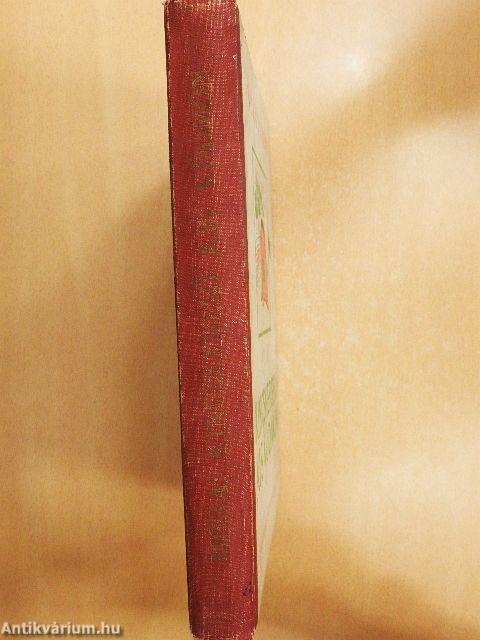 Kincskereső kis ködmön