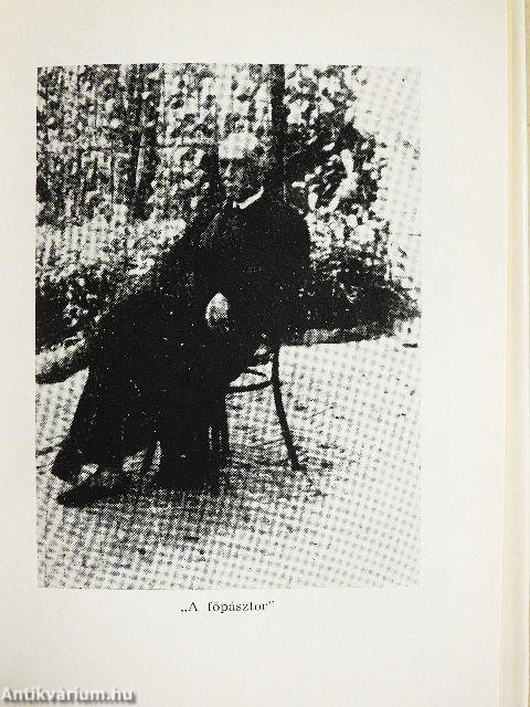 Szeged irodalmi emlékhelyei