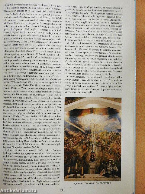 Magyarország városai I-IV.