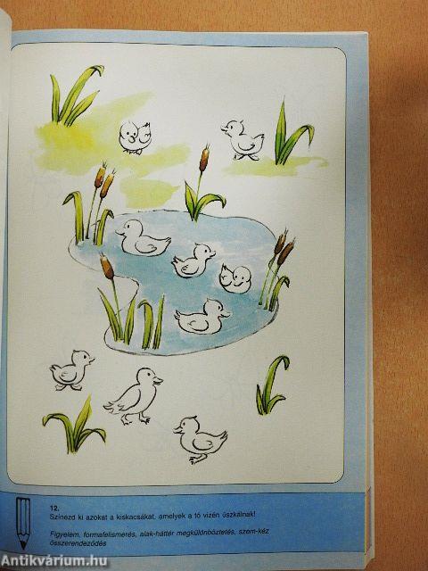 Gondolkodás és matematika