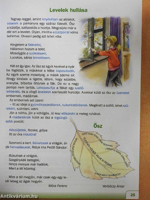 Hétszínvarázs - Olvasókönyv 2