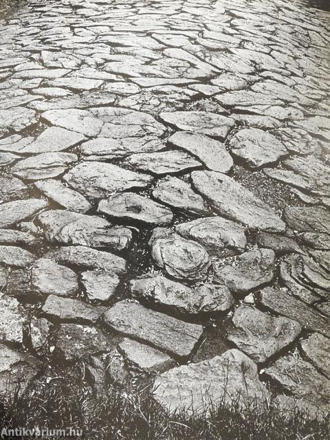 Magyar műemlékek (dedikált példány)