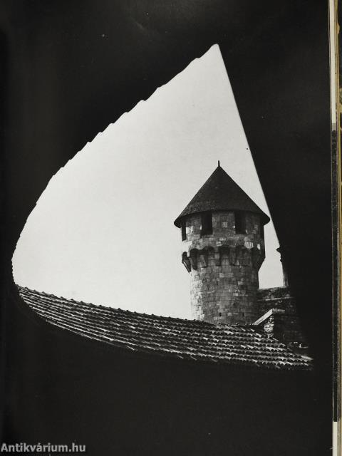 Magyar műemlékek (dedikált példány)