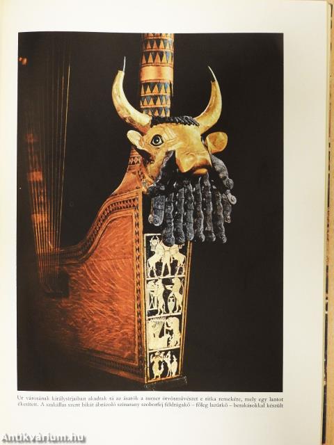 Ős napkelet (dedikált példány)