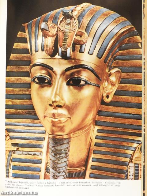 Ős napkelet (dedikált példány)