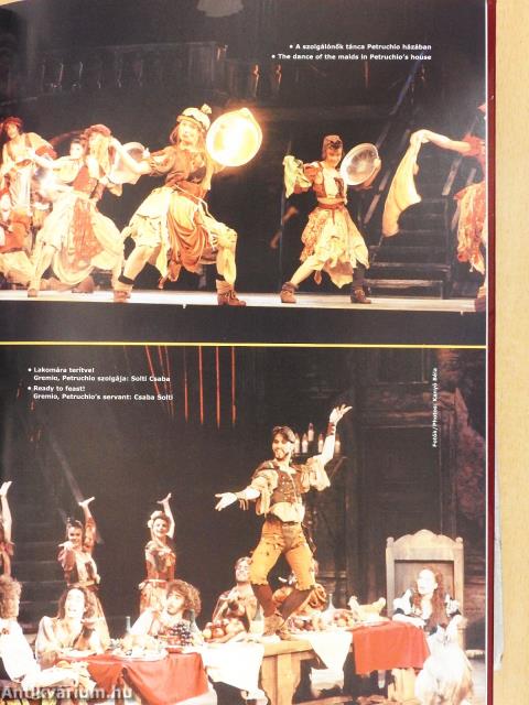 Seregi (aláírt példány)