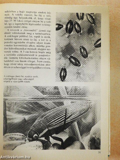 Eleven találmányok