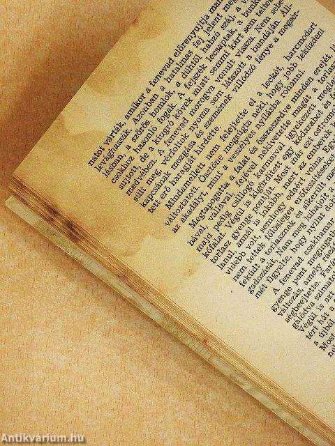 A tűz meghódítása