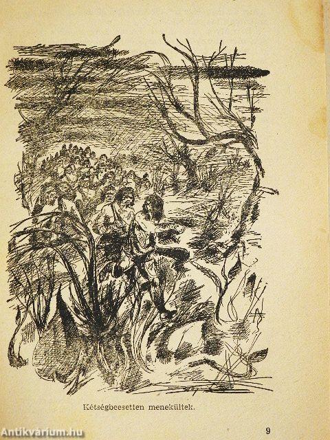 A tűz meghódítása