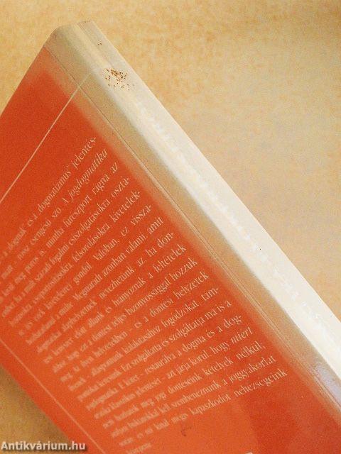 A jogdogmatika előkérdéseiről