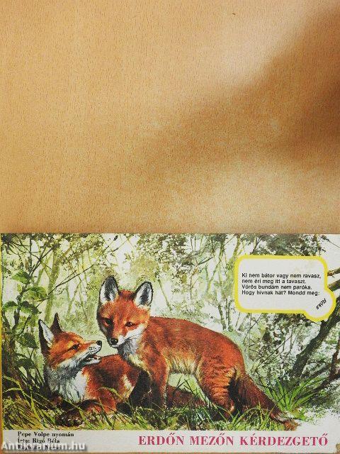 Erdőn mezőn kérdezgető