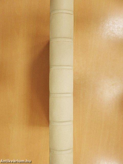 Jus canonicum universum IV-VI. 