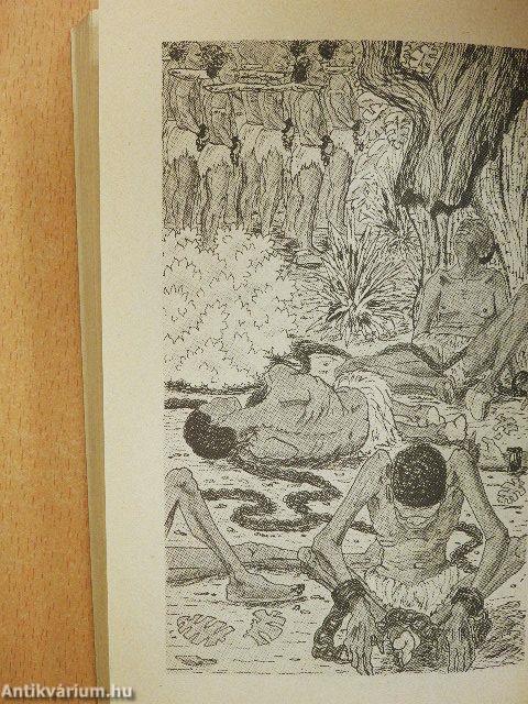 A 15 éves kapitány