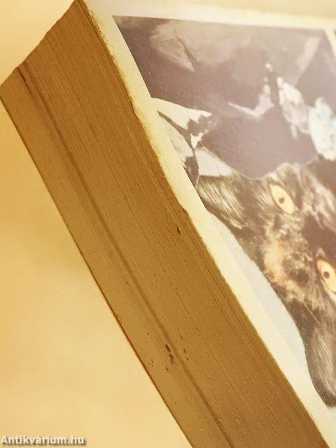 A "Fekete Macska" bandája