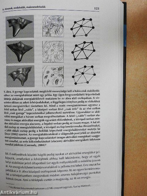 A rejtett hálózatok ereje