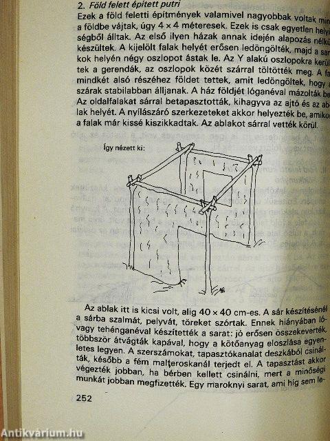 Cigányok, honnét jöttek - merre tartanak?
