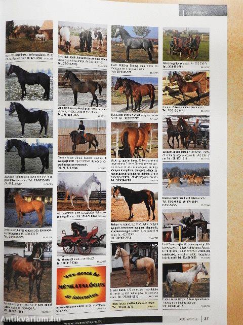 Lovasélet 2006. március