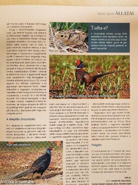 A mi erdőnk 2017/5.