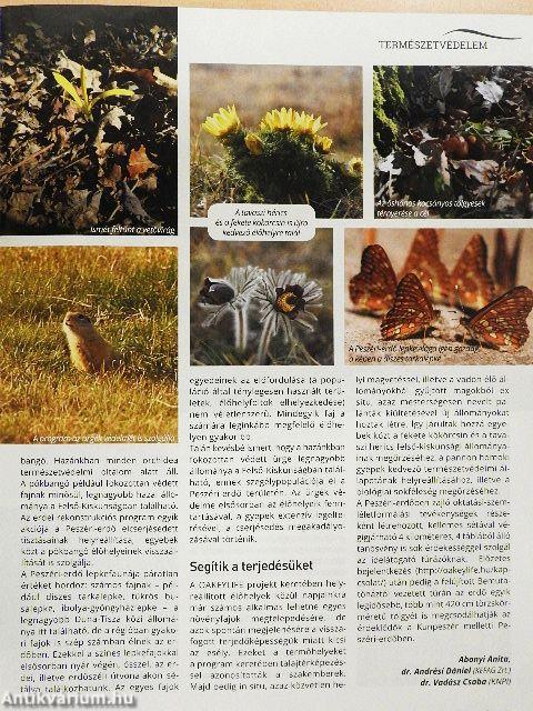 A mi erdőnk 2021/1.