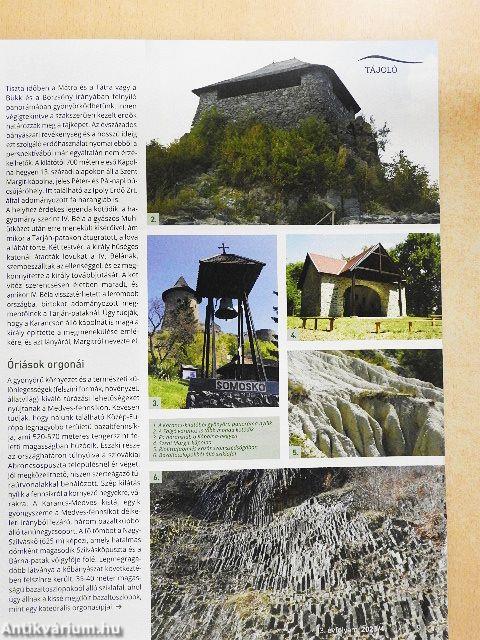 A mi erdőnk 2023/4.