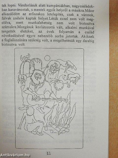 Cigányokról dióhéjban