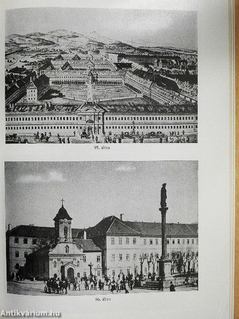 Képek a gyógyítás múltjából