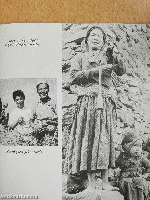 Nepál, királyság a fellegek között