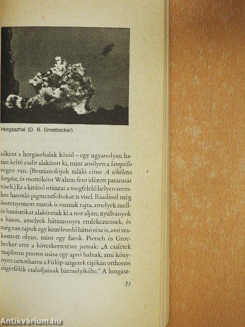 A panda hüvelykujja